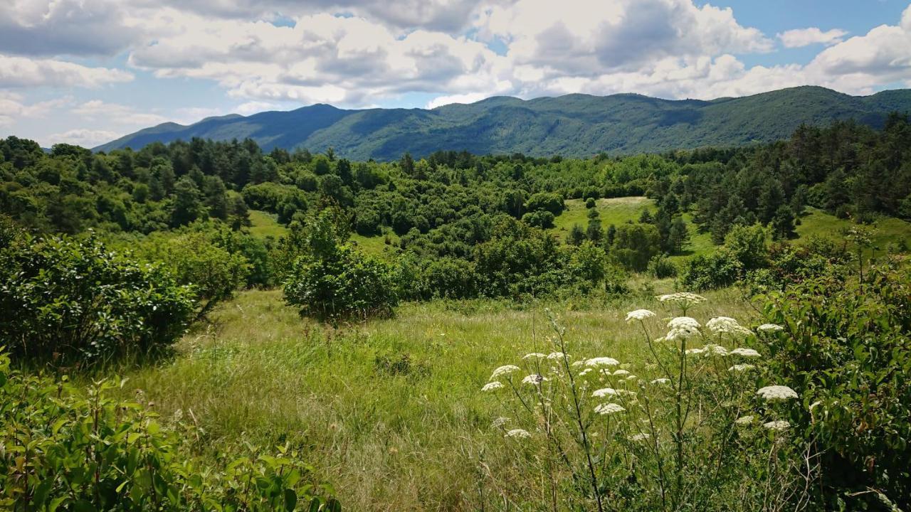 Villa Bora With Sauna And Heated Pool Vele Mune Екстер'єр фото